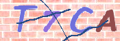CAPTCHA (Şahıs Denetim Kodu) Resmi