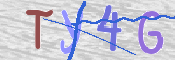 CAPTCHA (Şahıs Denetim Kodu) Resmi
