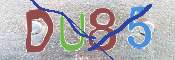 CAPTCHA (Şahıs Denetim Kodu) Resmi
