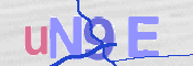 CAPTCHA (Şahıs Denetim Kodu) Resmi
