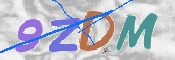 CAPTCHA (Şahıs Denetim Kodu) Resmi