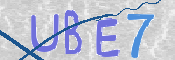 CAPTCHA (Şahıs Denetim Kodu) Resmi