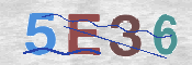 CAPTCHA (Şahıs Denetim Kodu) Resmi
