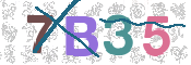 CAPTCHA (Şahıs Denetim Kodu) Resmi