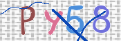CAPTCHA (Şahıs Denetim Kodu) Resmi