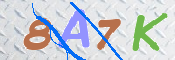 CAPTCHA (Şahıs Denetim Kodu) Resmi