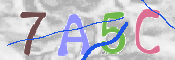 CAPTCHA (Şahıs Denetim Kodu) Resmi
