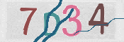 CAPTCHA (Şahıs Denetim Kodu) Resmi