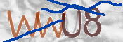 CAPTCHA (Şahıs Denetim Kodu) Resmi