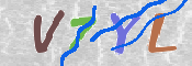 CAPTCHA (Şahıs Denetim Kodu) Resmi