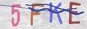 CAPTCHA (Şahıs Denetim Kodu) Resmi
