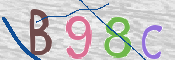 CAPTCHA (Şahıs Denetim Kodu) Resmi