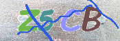 CAPTCHA (Şahıs Denetim Kodu) Resmi