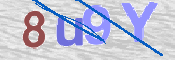 CAPTCHA (Şahıs Denetim Kodu) Resmi