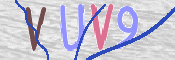 CAPTCHA (Şahıs Denetim Kodu) Resmi