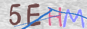 CAPTCHA (Şahıs Denetim Kodu) Resmi