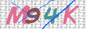CAPTCHA (Şahıs Denetim Kodu) Resmi