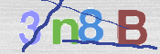 CAPTCHA (Şahıs Denetim Kodu) Resmi