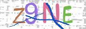 CAPTCHA (Şahıs Denetim Kodu) Resmi