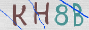 CAPTCHA (Şahıs Denetim Kodu) Resmi