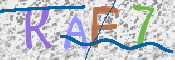 CAPTCHA (Şahıs Denetim Kodu) Resmi