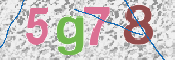 CAPTCHA (Şahıs Denetim Kodu) Resmi