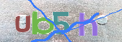 CAPTCHA (Şahıs Denetim Kodu) Resmi