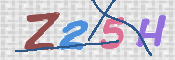 CAPTCHA (Şahıs Denetim Kodu) Resmi