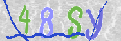 CAPTCHA (Şahıs Denetim Kodu) Resmi