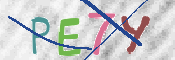 CAPTCHA (Şahıs Denetim Kodu) Resmi