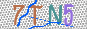 CAPTCHA (Şahıs Denetim Kodu) Resmi