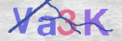 CAPTCHA (Şahıs Denetim Kodu) Resmi