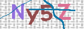 CAPTCHA (Şahıs Denetim Kodu) Resmi
