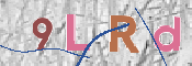 CAPTCHA (Şahıs Denetim Kodu) Resmi