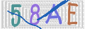 CAPTCHA (Şahıs Denetim Kodu) Resmi