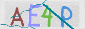 CAPTCHA (Şahıs Denetim Kodu) Resmi
