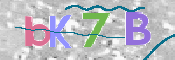 CAPTCHA (Şahıs Denetim Kodu) Resmi