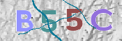 CAPTCHA (Şahıs Denetim Kodu) Resmi