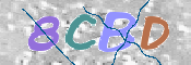 CAPTCHA (Şahıs Denetim Kodu) Resmi