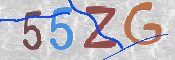 CAPTCHA (Şahıs Denetim Kodu) Resmi