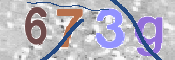 CAPTCHA (Şahıs Denetim Kodu) Resmi