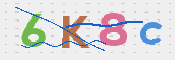 CAPTCHA (Şahıs Denetim Kodu) Resmi