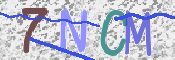 CAPTCHA (Şahıs Denetim Kodu) Resmi