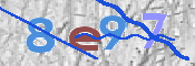 CAPTCHA (Şahıs Denetim Kodu) Resmi
