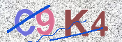 CAPTCHA (Şahıs Denetim Kodu) Resmi