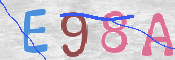 CAPTCHA (Şahıs Denetim Kodu) Resmi