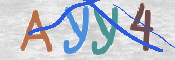 CAPTCHA (Şahıs Denetim Kodu) Resmi