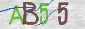 CAPTCHA (Şahıs Denetim Kodu) Resmi