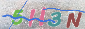 CAPTCHA (Şahıs Denetim Kodu) Resmi