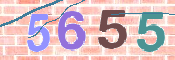 CAPTCHA (Şahıs Denetim Kodu) Resmi